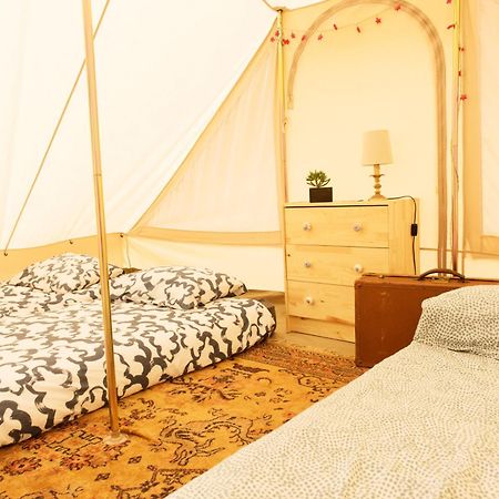 Aparra Surfcamp Capbreton Otel Dış mekan fotoğraf